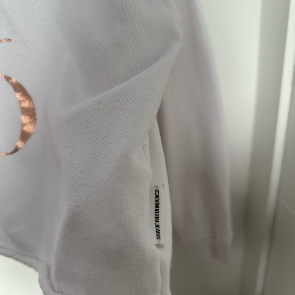 Calvin Klein Crop Hoodie with Rose Gold Chrome Logo - Picture 5 of 9